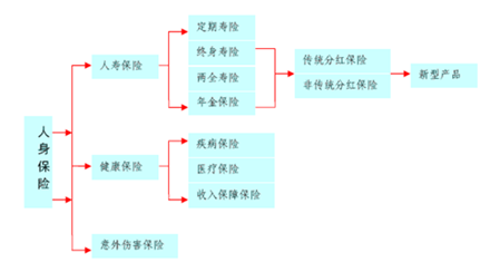 在人身保险分类说法正确的是 人身保险按照什么分类